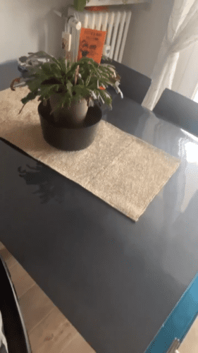 Nappe transparente photo review