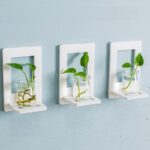 HTB1g1kqKgmTBuNjy1Xbq6yMrVXaS (1)